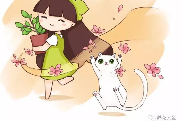 土里掺点这东西,花养50年都不会死! 土里掺点这东西,花养50年都不会死!