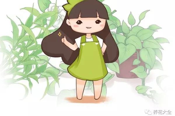 老姐养了20年的花,从来不黄叶,终于发现她的小秘密了! 老姐养了20年的花,从来不黄叶,终于发现她的小秘密了!