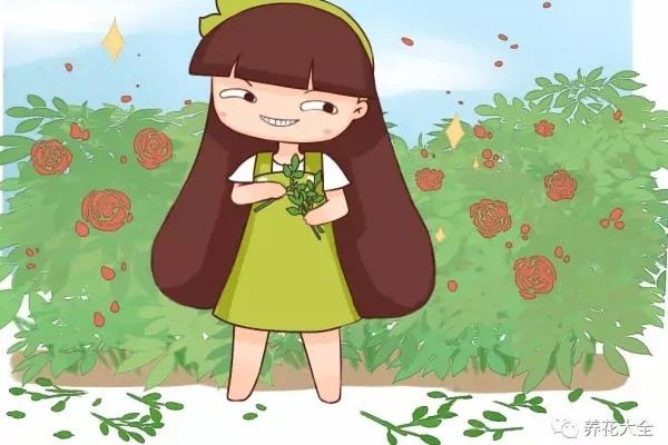 路边的花捡根枝,回家插出100盆! 路边的花捡根枝,回家插出100盆!