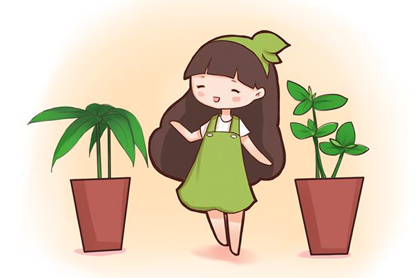 家里常养这10种花,身体越来越棒! 家里常养这10种花,身体越来越棒!