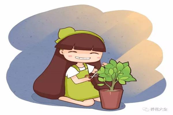 给花搞了点小动作,一晚上冒出7、8个芽,长势太猛了! 给花搞了点小动作,一晚上冒出7、8个芽,长势太猛了!