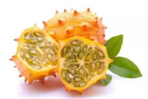 刺角瓜的功效与作用 刺角瓜的功效与作用