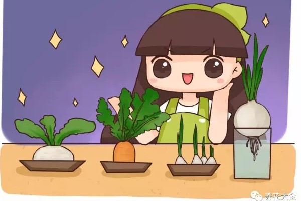 养花2天就死,种草1天不活,还不如养个菜头! 养花2天就死,种草1天不活,还不如养个菜头!