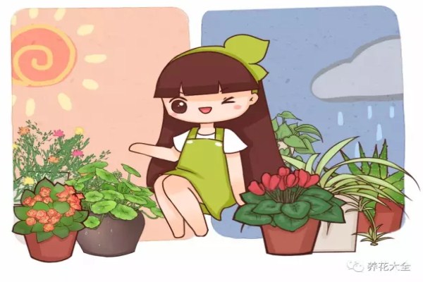 她家的花开了一茬又一茬,拦都拦不住! 她家的花开了一茬又一茬,拦都拦不住!