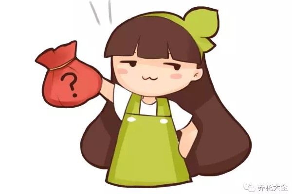 他从来都不施肥,只往盆里扔点这个,花就开疯了! 他从来都不施肥,只往盆里扔点这个,花就开疯了!