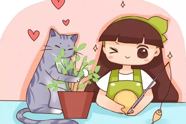 家里有猫的,千万别养这种花!不然你就摊上大事了! 家里有猫的,千万别养这种花!不然你就摊上大事了!