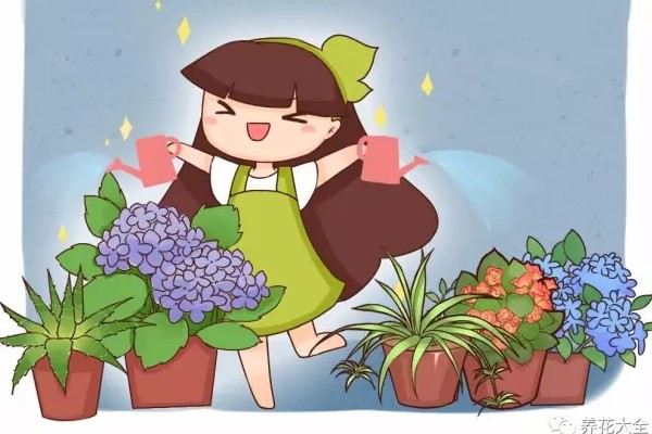 浇水这一点做不好,会害死你的花! 浇水这一点做不好,会害死你的花!