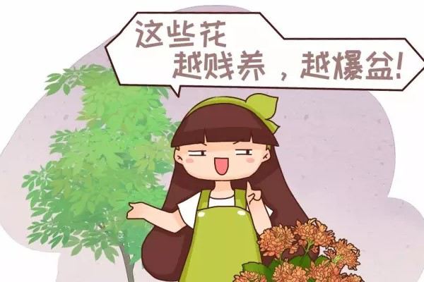 越贱养越疯长,这些花扔旮旯里就爆盆! 越贱养越疯长,这些花扔旮旯里就爆盆!