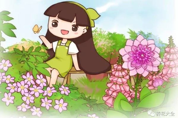 6种爬藤花,种上就能收获1面花墙! 6种爬藤花,种上就能收获1面花墙!