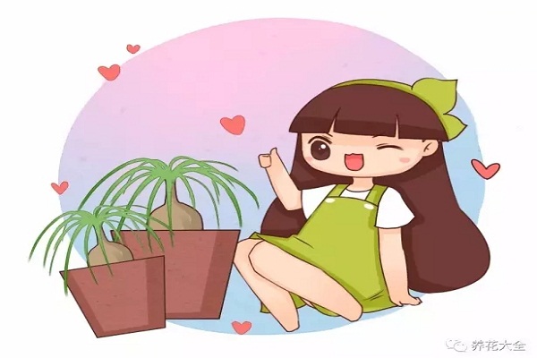 万万没想到,家里养的花居然变成了酒瓶子、弹簧! 万万没想到,家里养的花居然变成了酒瓶子、弹簧!