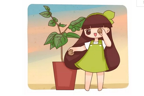 核桃菠萝蜜…在家就能种!省钱好看! 核桃菠萝蜜…在家就能种!省钱好看!