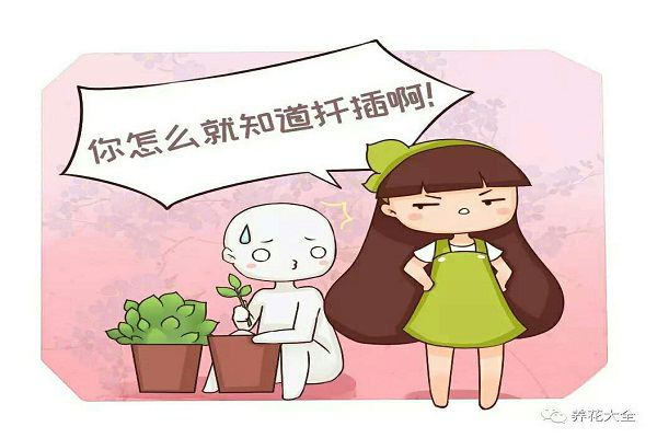今天告诉你,她把1盆变100盆的诀窍,竟这么简单! 今天告诉你,她把1盆变100盆的诀窍,竟这么简单!