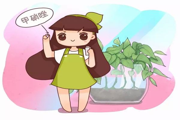 水培烂根臭烘烘?赶紧丢点这个进去,立马解决! 水培烂根臭烘烘?赶紧丢点这个进去,立马解决!