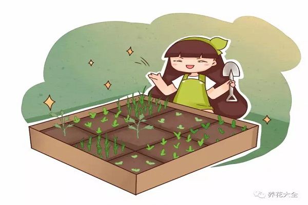 你的菜园子脏乱差,再看看人家的,比大花园还美! 你的菜园子脏乱差,再看看人家的,比大花园还美!