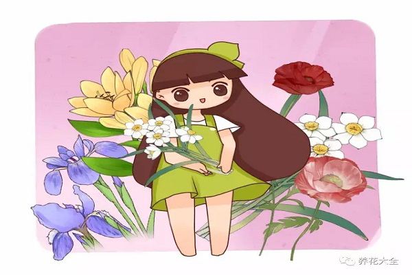 10种花选一种,测测你的性格,超准! 10种花选一种,测测你的性格,超准!