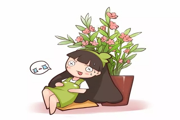 这些花老年人不要养,家里有一棵就很危险! 这些花老年人不要养,家里有一棵就很危险!