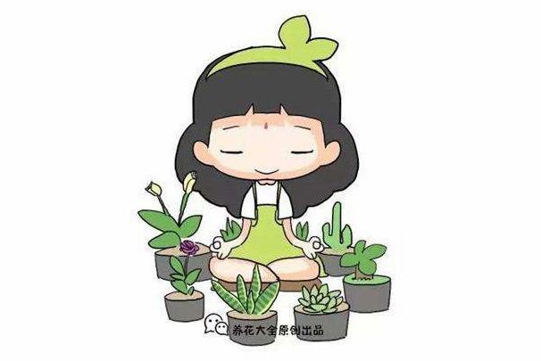 有个“花痴“老婆是种怎样的体验? 有个“花痴“老婆是种怎样的体验?
