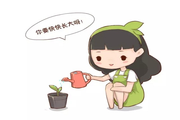 小苏打的这些用处,你居然不知道,怪不得你养不好花! 小苏打的这些用处,你居然不知道,怪不得你养不好花!