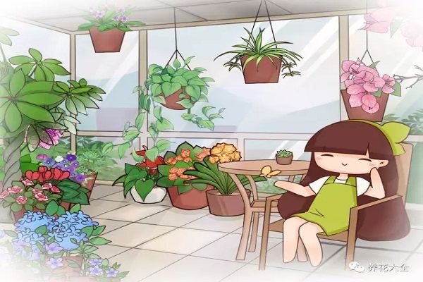 这10种花越贱养越疯长,太勤快养不好! 这10种花越贱养越疯长,太勤快养不好!