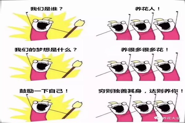 我们是谁?养花人!我们的目标是…… 我们是谁?养花人!我们的目标是……