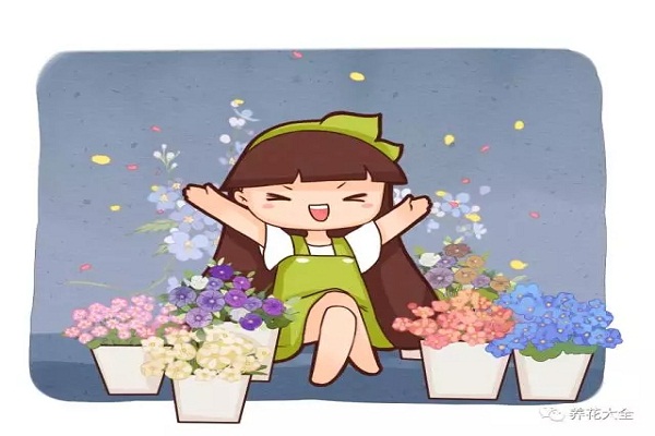 这几种花轻松就能养成一面花墙,邻居见了都羡慕 这几种花轻松就能养成一面花墙,邻居见了都羡慕