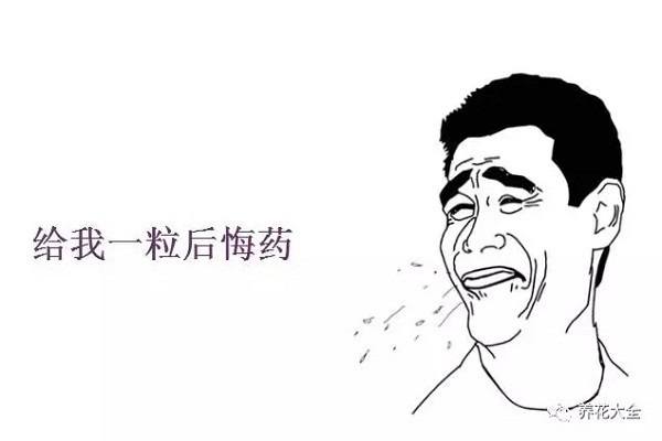 没想到这么多养花的好东西,全让我当垃圾扔了 没想到这么多养花的好东西,全让我当垃圾扔了