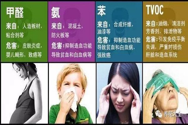 24种花专除室内污染,多活10年不是事儿! 24种花专除室内污染,多活10年不是事儿!