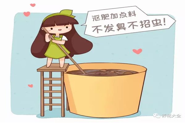 沤肥臭死人?跟60岁老花农学几招,放家里都没味! 沤肥臭死人?跟60岁老花农学几招,放家里都没味!