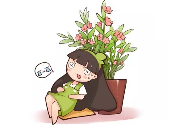 家里摆了这盆花,越住越难受! 家里摆了这盆花,越住越难受!
