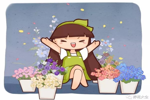 秋天什么花开花?这些花最容易爆盆! 秋天什么花开花?这些花最容易爆盆!