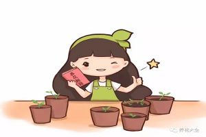 买啥发财树文竹多肉，1粒种子就能种出来！