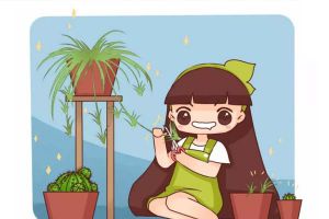 铜钱草叶子比碗大，绿萝疯长100米，到底咋养的？