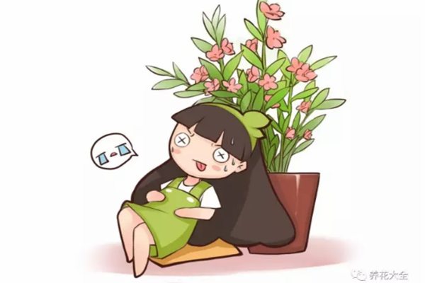 花卉怎么换盆?这样换开花都能压断枝了! 花卉怎么换盆?这样换开花都能压断枝了!