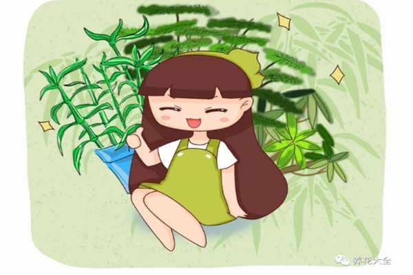 这10种竹最旺运,养1盆财运亨通、事事顺意! 这10种竹最旺运,养1盆财运亨通、事事顺意!