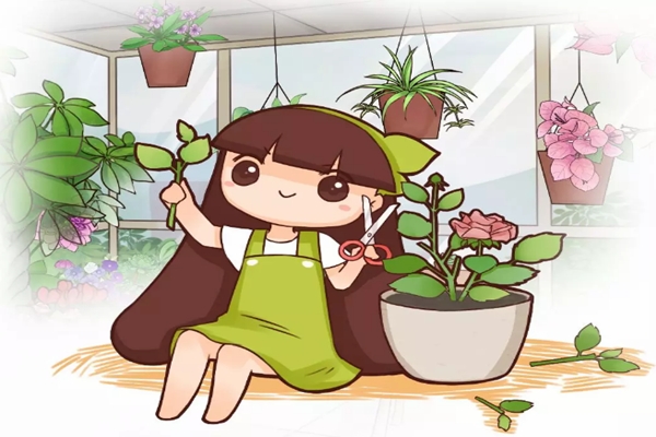 这花千万别花钱买,剪个枝就能活,好看又好养! 这花千万别花钱买,剪个枝就能活,好看又好养!