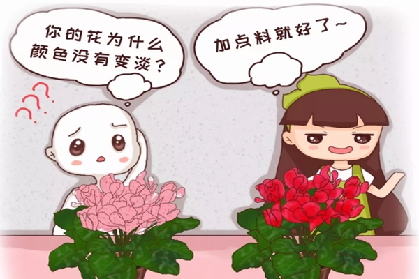 你家的花颜色越开越淡?随手加点它,花像打了鸡血,红艳艳一片! 你家的花颜色越开越淡?随手加点它,花像打了鸡血,红艳艳一片!