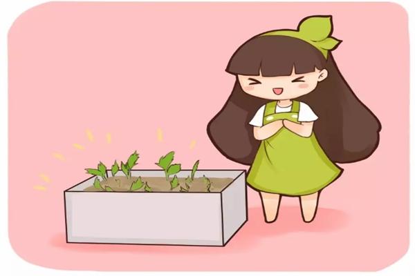 几粒绿豆,一把热水壶,3天发出无毒绿豆芽! 几粒绿豆,一把热水壶,3天发出无毒绿豆芽!