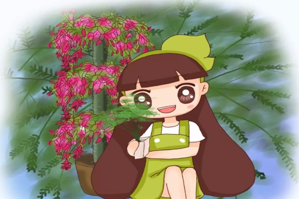 过年买盆它,20天长成绿瀑布,亲戚朋友都看呆了! 过年买盆它,20天长成绿瀑布,亲戚朋友都看呆了!