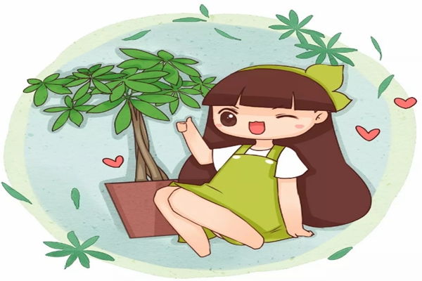给花换盆,竟然不懂这些?难怪黄叶死翘翘! 给花换盆,竟然不懂这些?难怪黄叶死翘翘!
