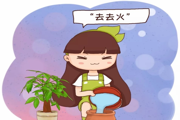 刚买的花盆,得先“去去火”,否则不管啥花,上盆就死! 刚买的花盆,得先“去去火”,否则不管啥花,上盆就死!