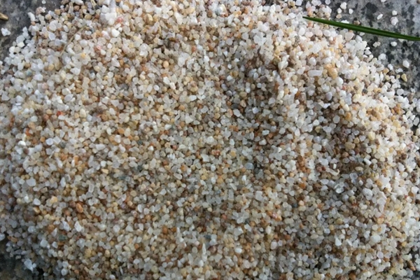 1把沙子撒盆里,不黄叶不烂根,根系呼呼冒,小虫子都绕道走! 1把沙子撒盆里,不黄叶不烂根,根系呼呼冒,小虫子都绕道走!