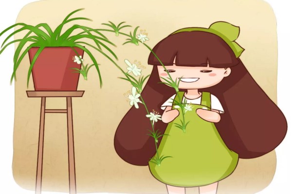 盆里加点它,花像吃了激素,蹭蹭狂长爆盆! 盆里加点它,花像吃了激素,蹭蹭狂长爆盆!