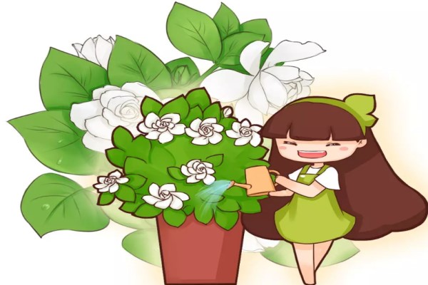 这花一根枝就活,浇水就疯长,叶绿花大香气四溢! 这花一根枝就活,浇水就疯长,叶绿花大香气四溢!