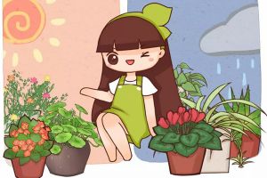 这花掐个枝就能活，还能泡茶喝，美容又明目！