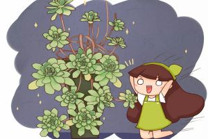 多肉上盆，全靠10字口诀，蹭蹭长爆盆！