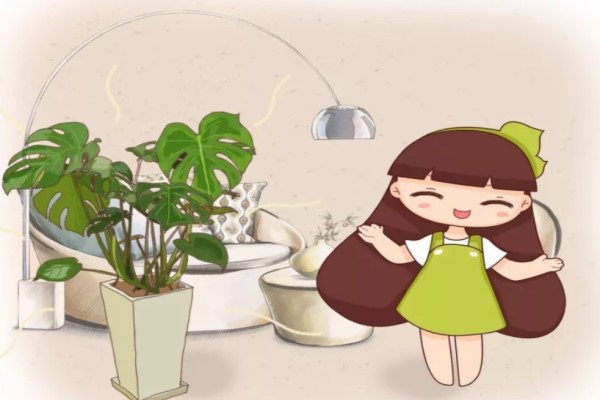 家里1盆花,吸走致命毒,再也不怕装修甲醛! 家里1盆花,吸走致命毒,再也不怕装修甲醛!