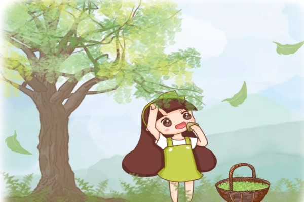 春天摘把它,让你一年有“榆”钱,舌尖感受“椿”天! 春天摘把它,让你一年有“榆”钱,舌尖感受“椿”天!