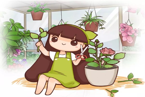 100%成活的扦插法,花花只告诉你! 100%成活的扦插法,花花只告诉你!