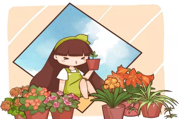 老花农春天这么施肥,花呼呼开满盆,叶子油亮发光! 老花农春天这么施肥,花呼呼开满盆,叶子油亮发光!