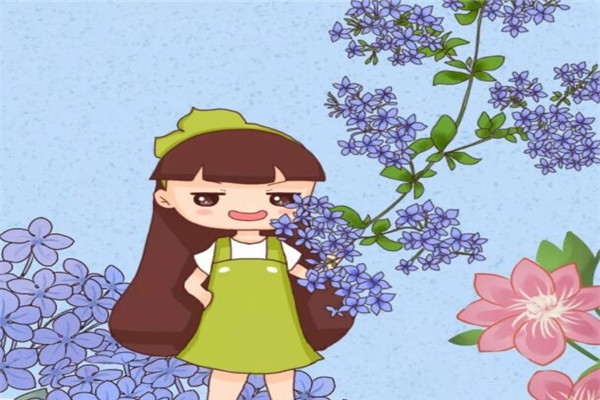 这12种花,能养1种,这辈子就值了! 这12种花,能养1种,这辈子就值了!